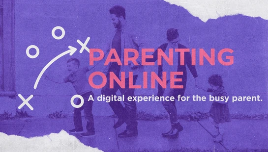 Brief Online “Courses” that will help you no matter if you are dealing with a child in Kindergarten or a Student in Grade 12.