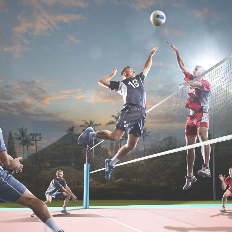 Volleyball
