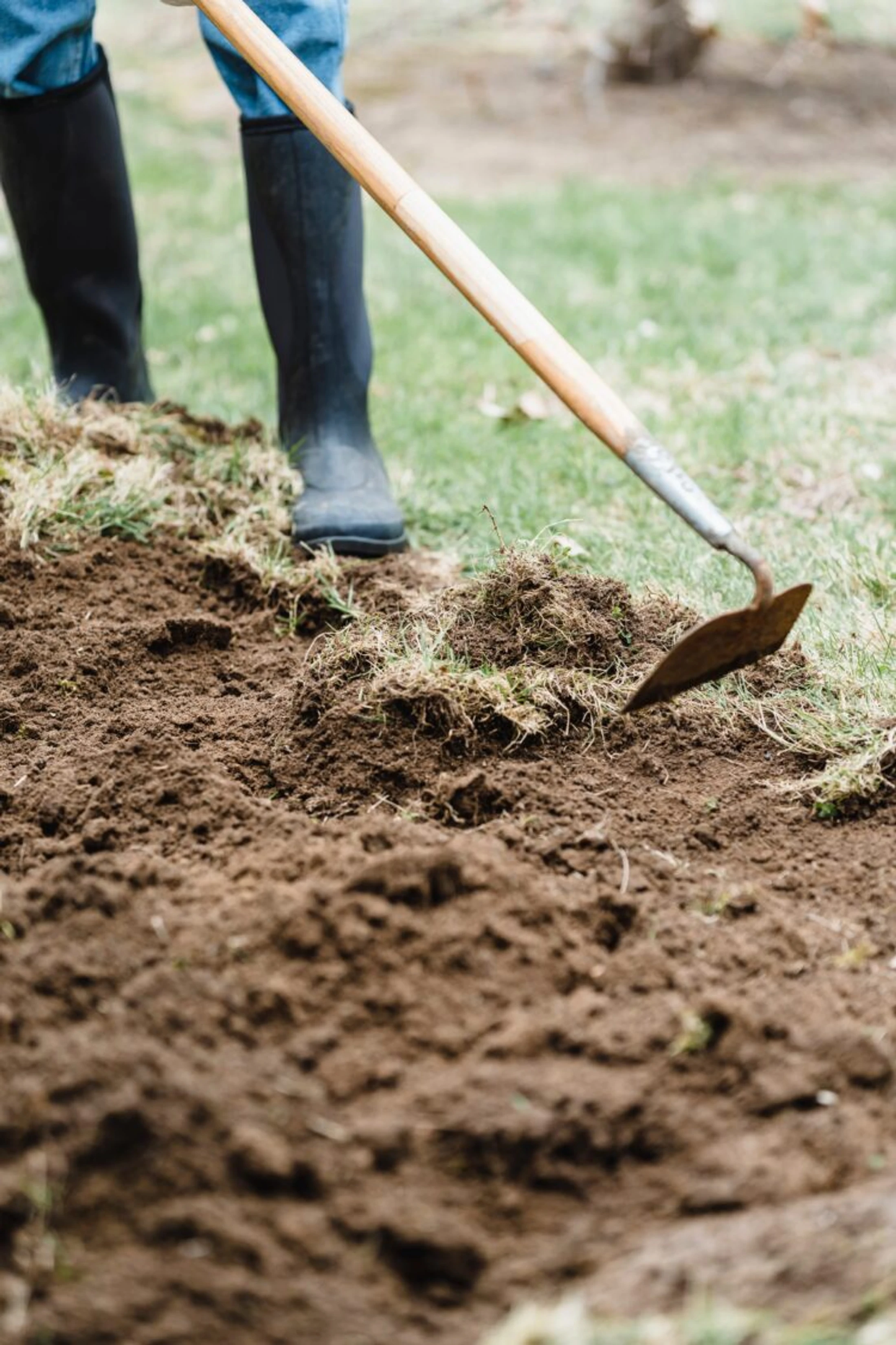 Community Garden Clean-Up Party