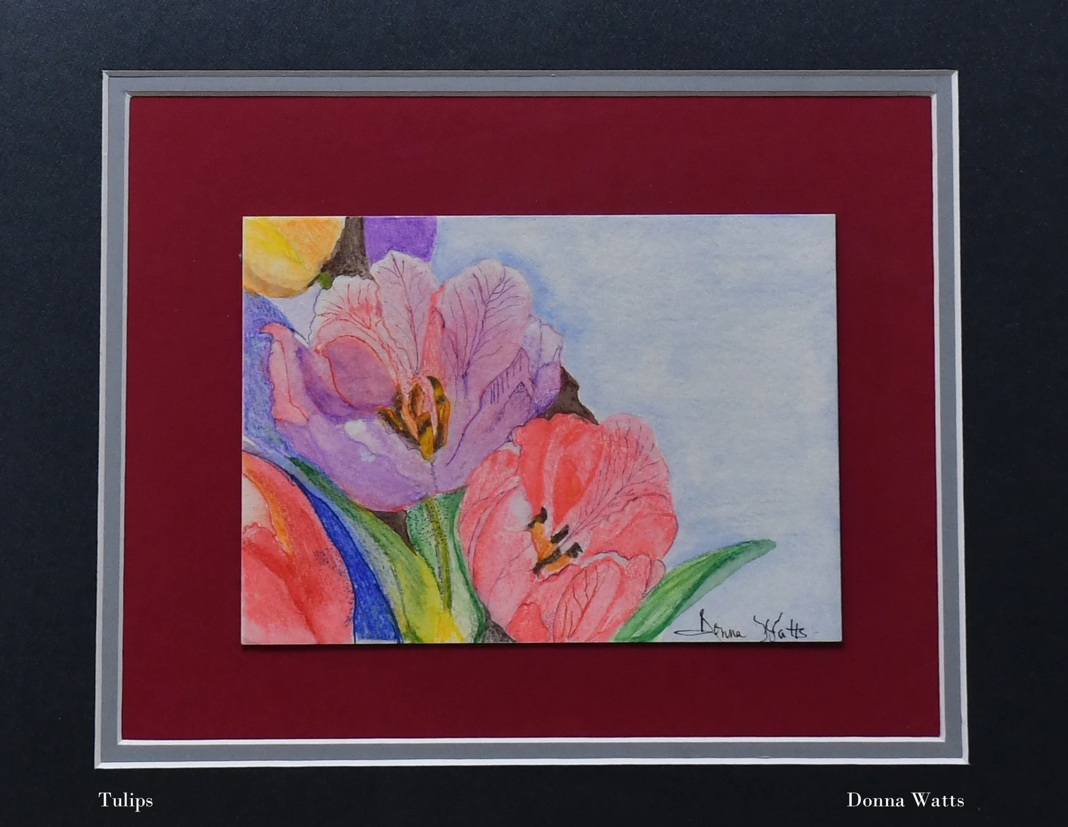 A colorful watercolor and pencil drawing of several tulips. The piece is signed and presented in a matted frame with red, silver, and black layers.