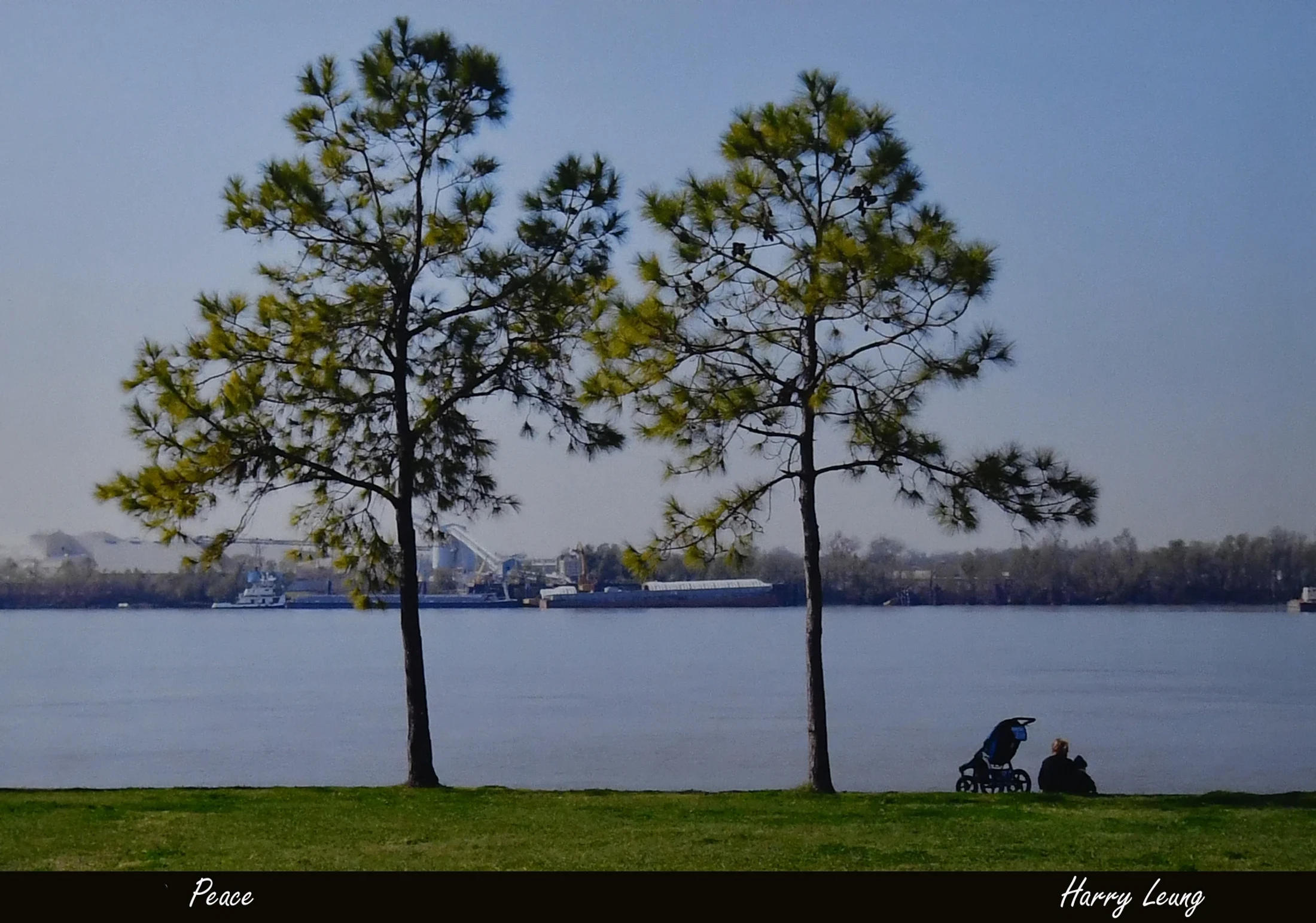 A person sits with a baby stroller on a grassy bank beside a wide river. Two tall pine trees frame the scene, with an industrial shoreline in the distance.