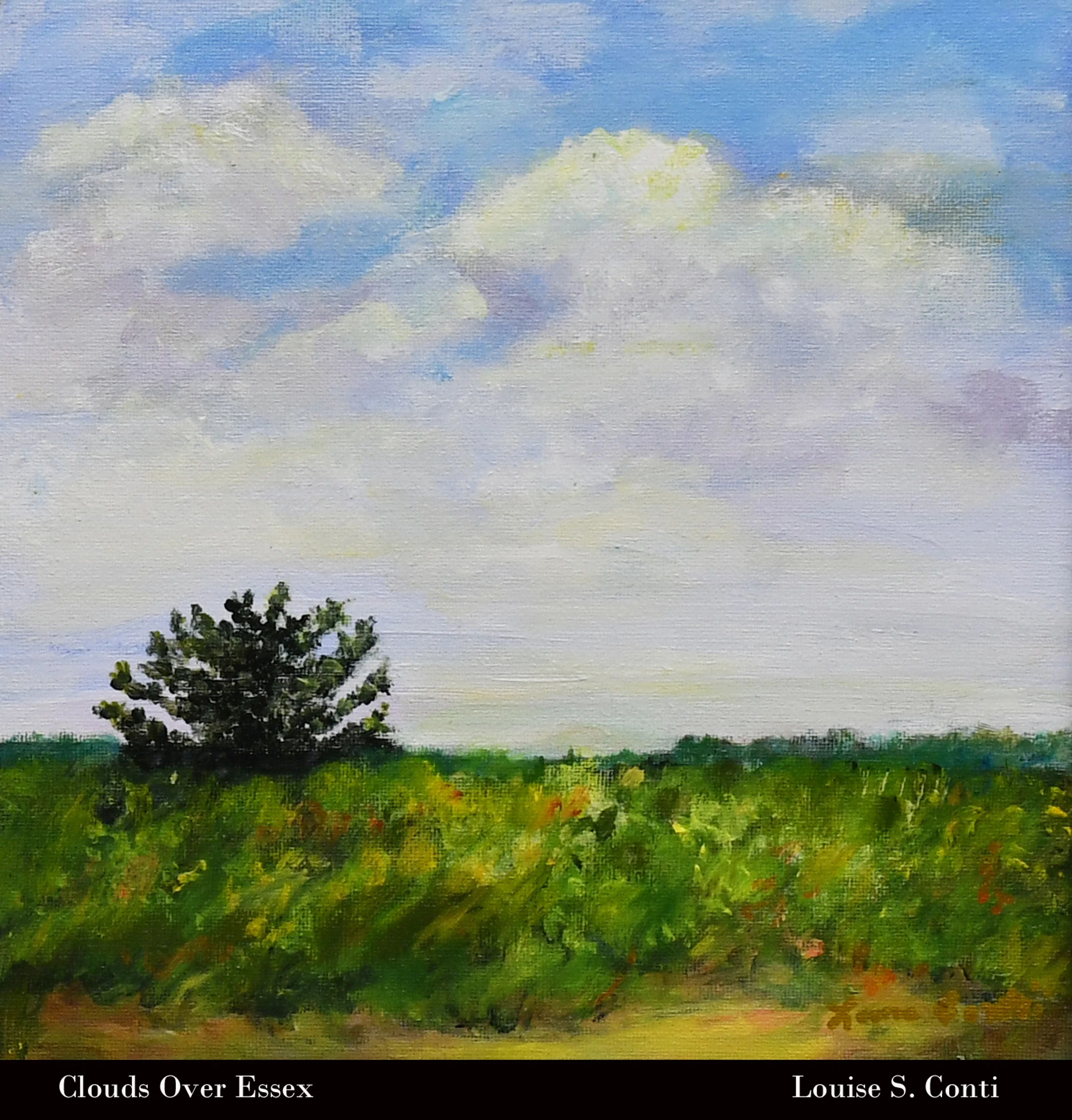 An impressionist oil painting of a lush green field under a vast blue sky with puffy white clouds. A single dark green bush stands alone on the horizon.