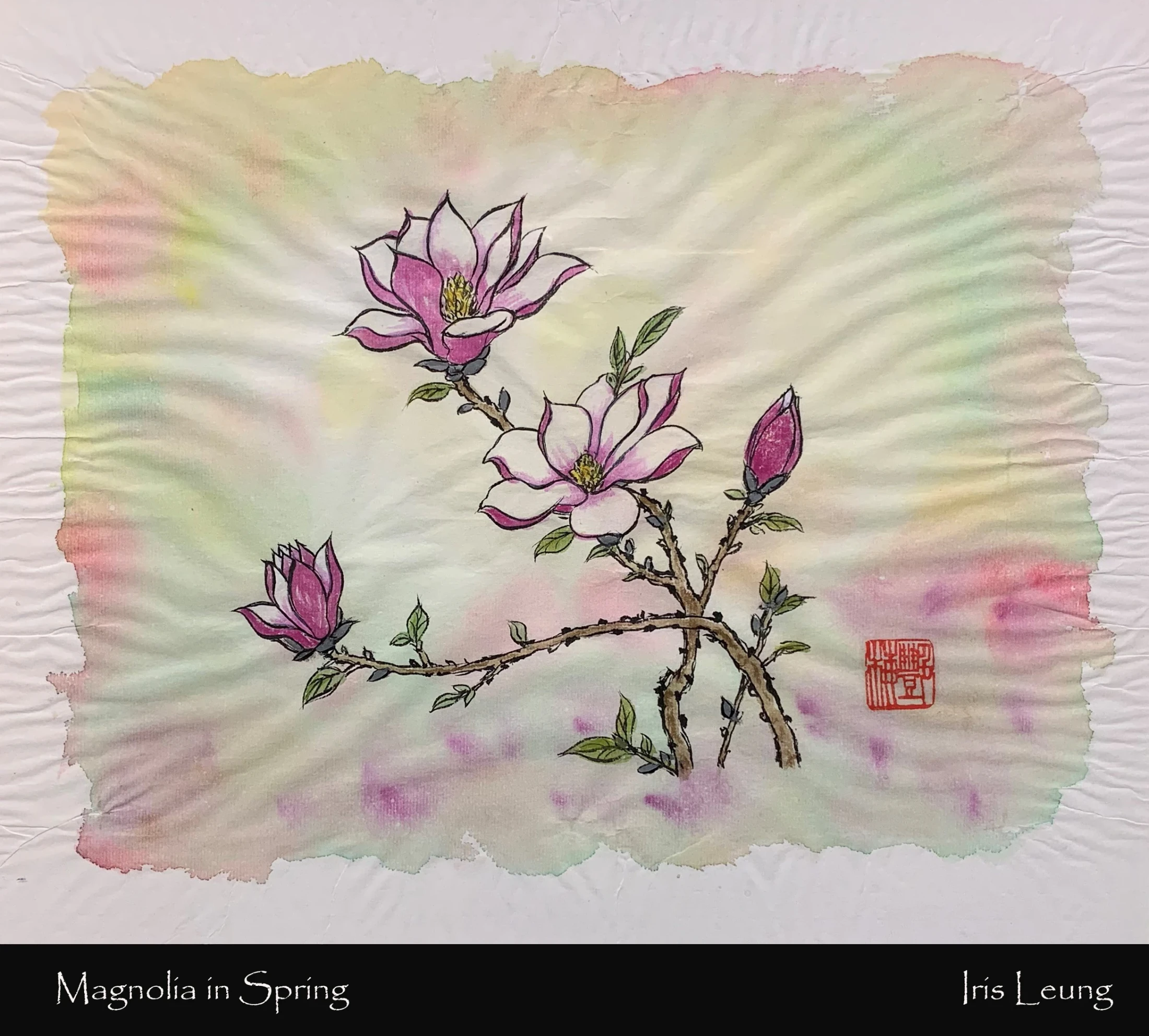 A delicate Asian-style painting of a magnolia branch with pink and white flowers on wrinkled paper with a pastel watercolor background and a red seal.