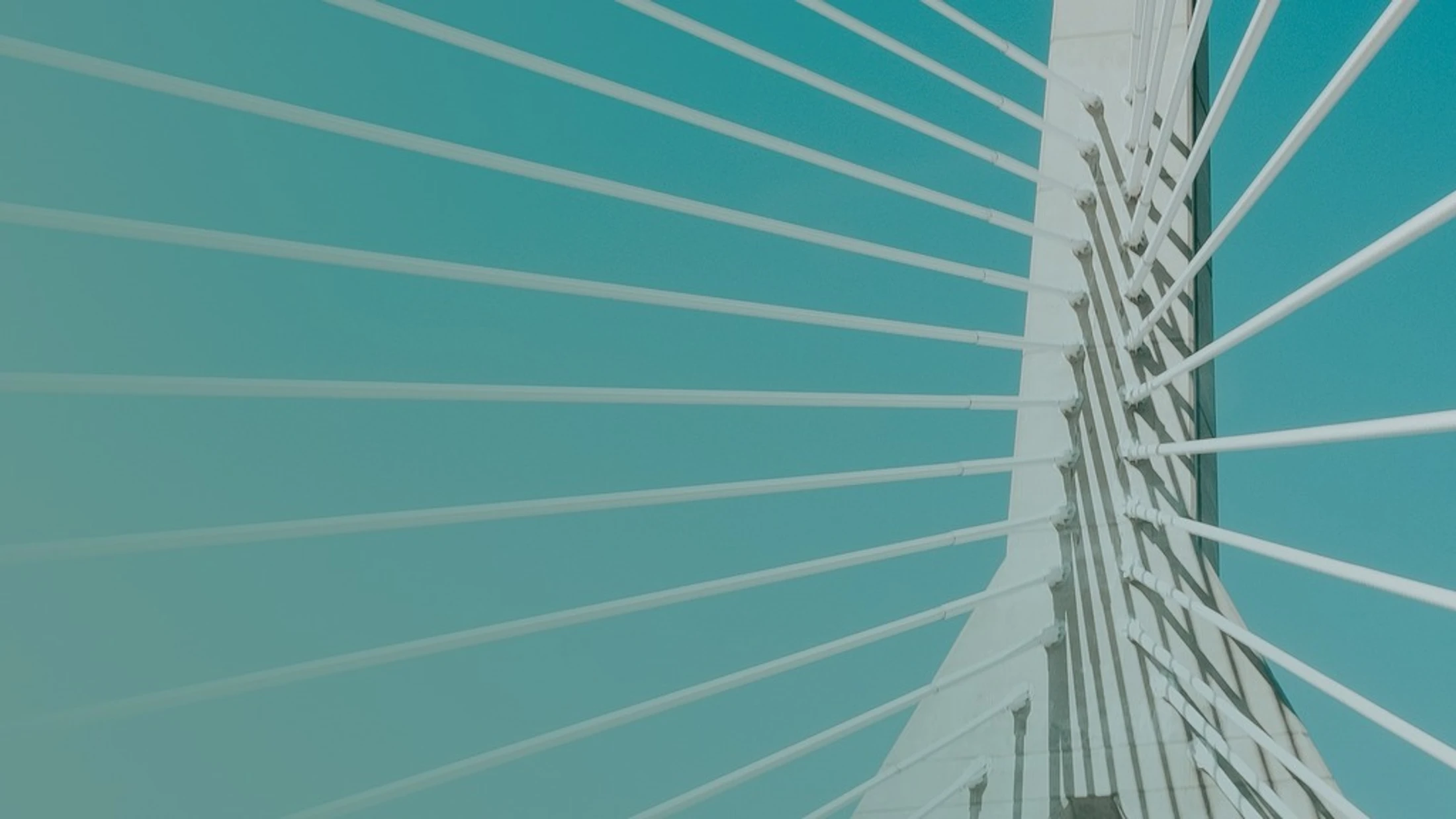 A close-up, angled view of a white cable-stayed bridge. Cables extend from a central tower across a vibrant teal sky, creating a fan-like pattern.