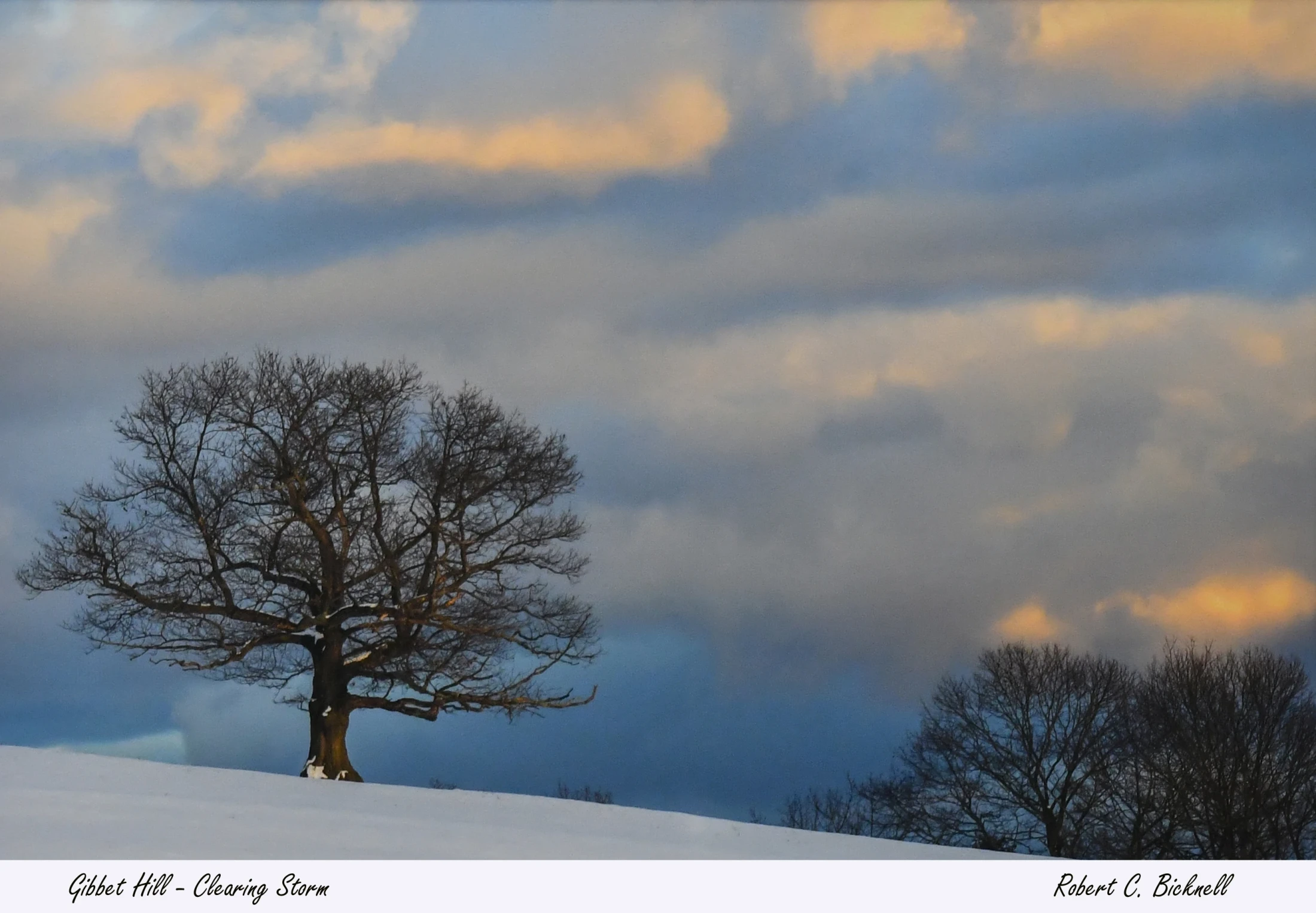 A large, bare tree stands on a snow-covered hill under a dramatic sky of dark storm clouds breaking to reveal patches of warm, golden light.