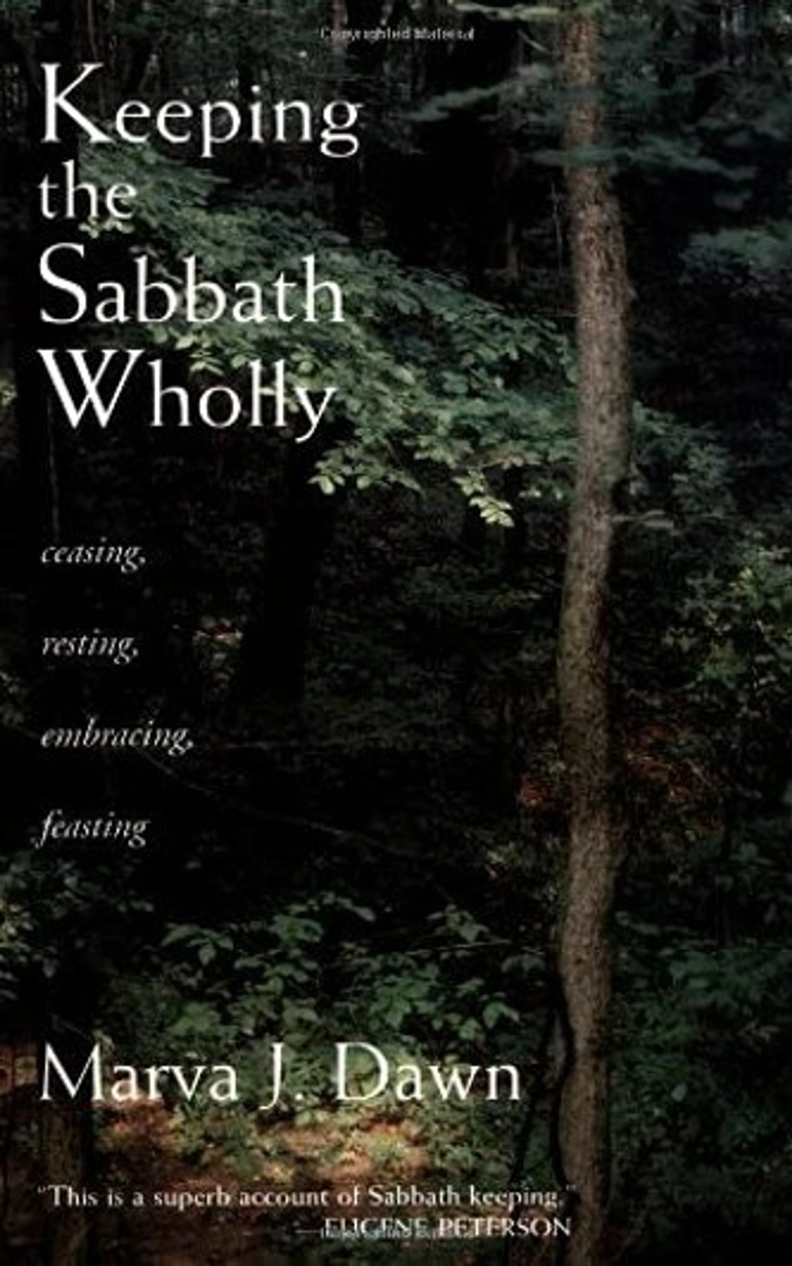 The book cover for 'Keeping the Sabbath Wholly' features white text over a dark, peaceful photo of a dense forest with lush green leaves.