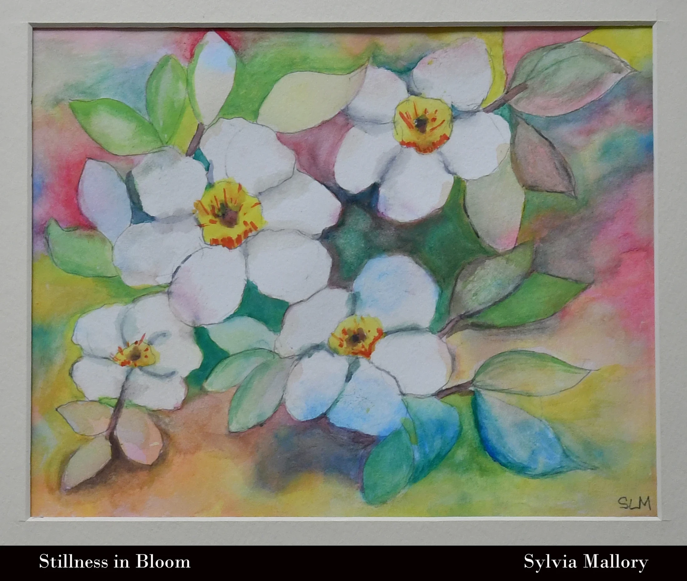 A watercolor painting of white five-petaled flowers with yellow and orange centers. The blossoms and green leaves are set against a soft, colorful background.