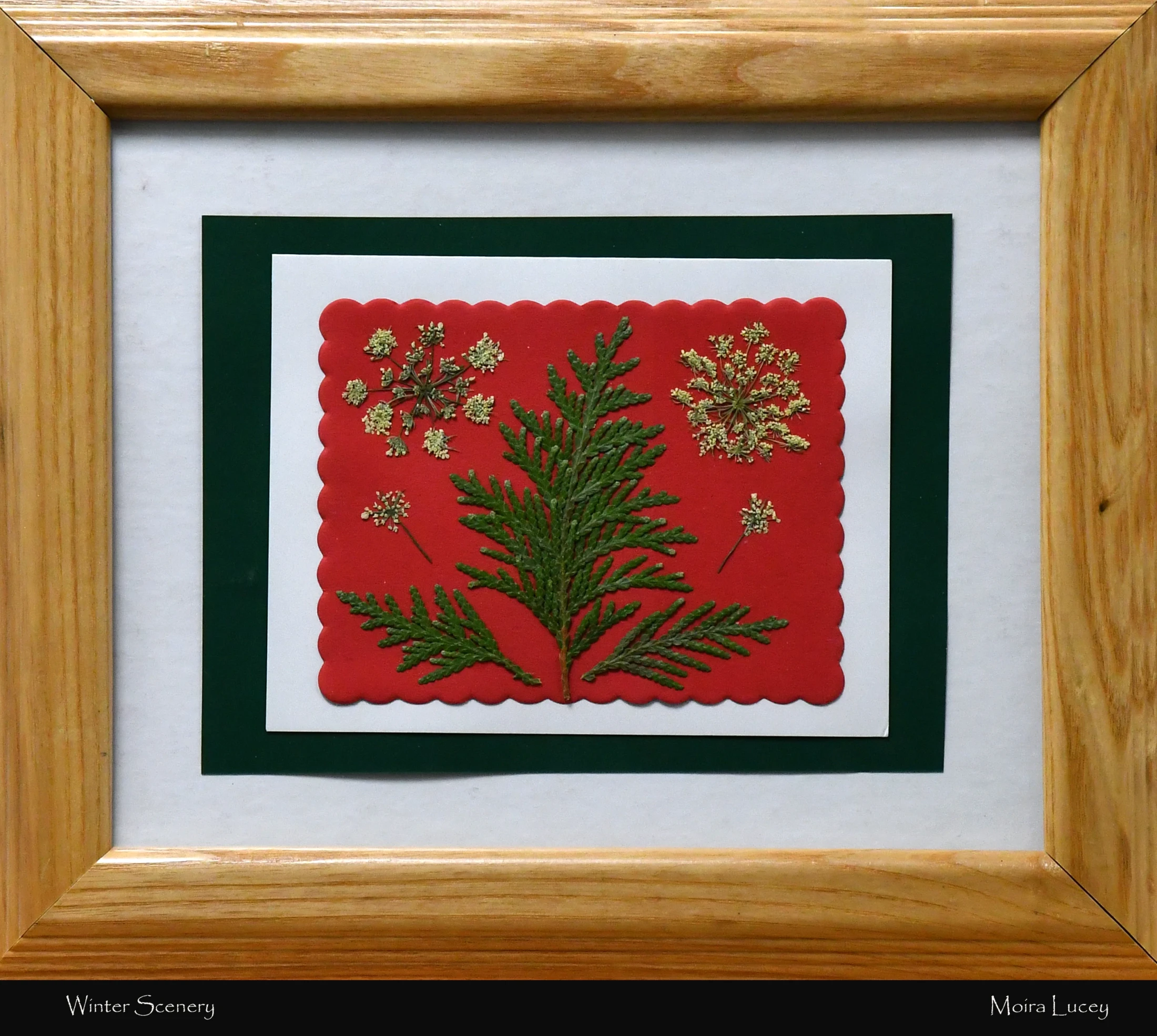 Artwork by Moira Lucey featuring a pressed evergreen sprig shaped like a tree on red paper, surrounded by small white flowers, matted in green and white.