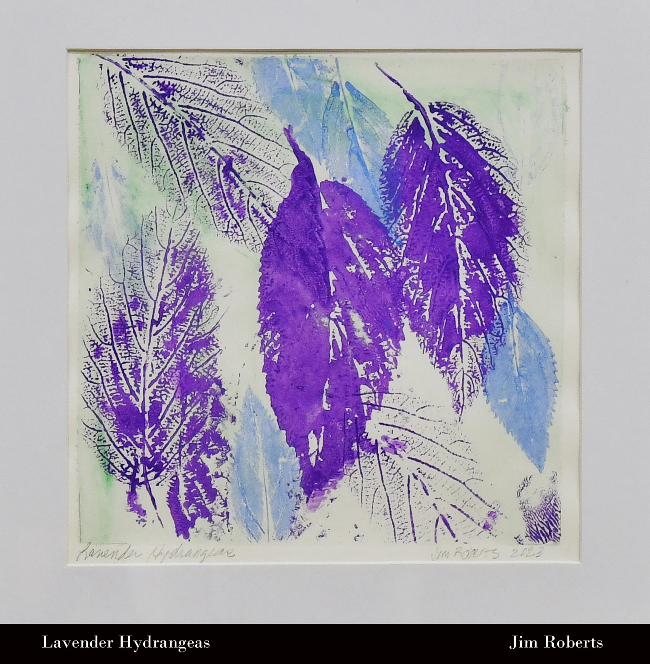 A square print featuring impressions of hydrangea leaves in purple and blue ink on a white background. Some leaves show detailed veins, others are solid.