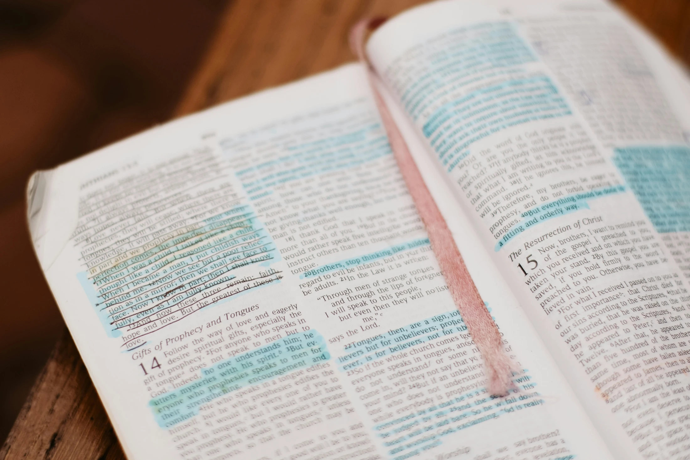 Which Translation of the Bible Should I Read?