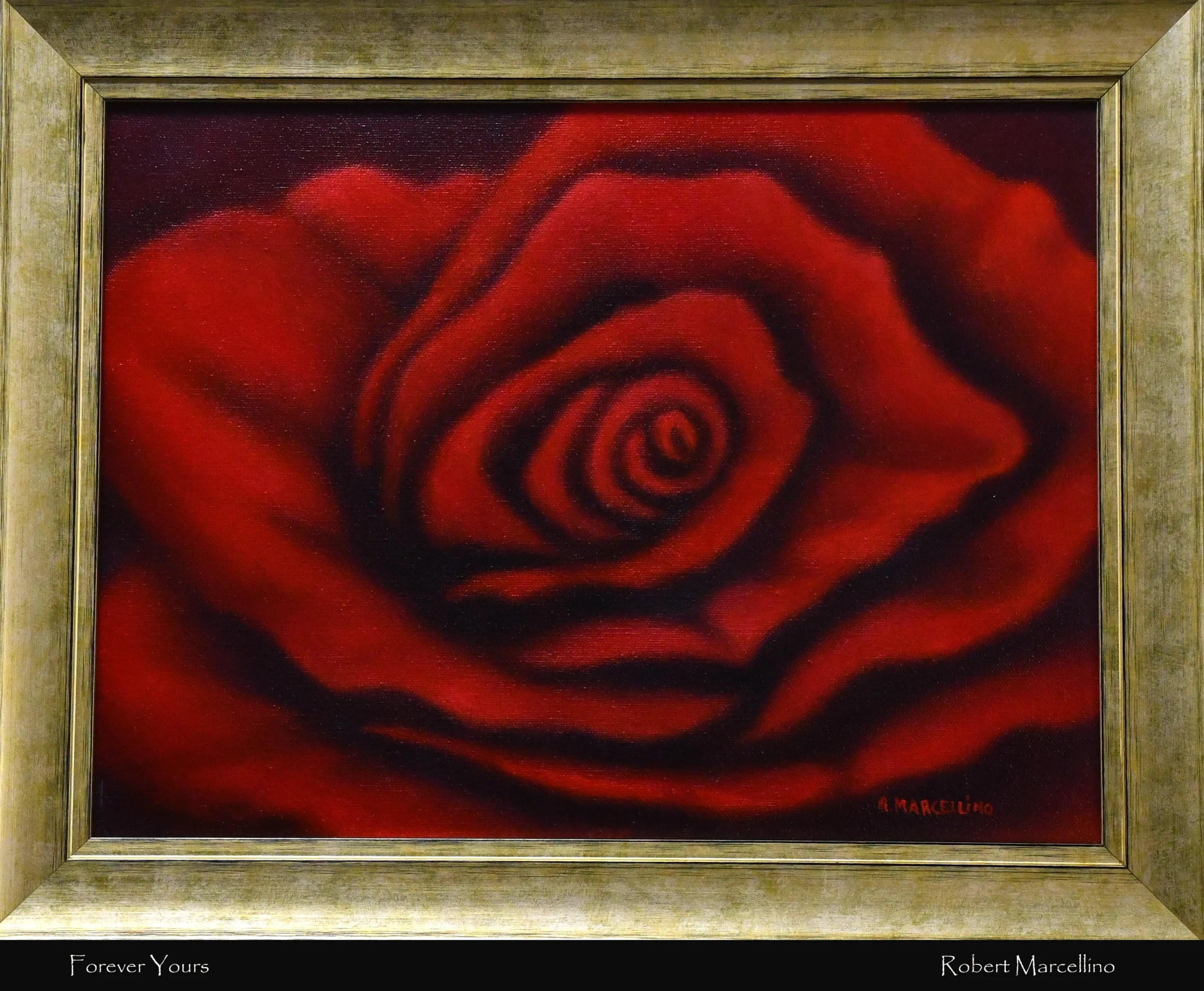 A dramatic oil painting of a red rose in extreme close-up. The velvety petals swirl towards the dark center, all contained within a distressed gold frame.