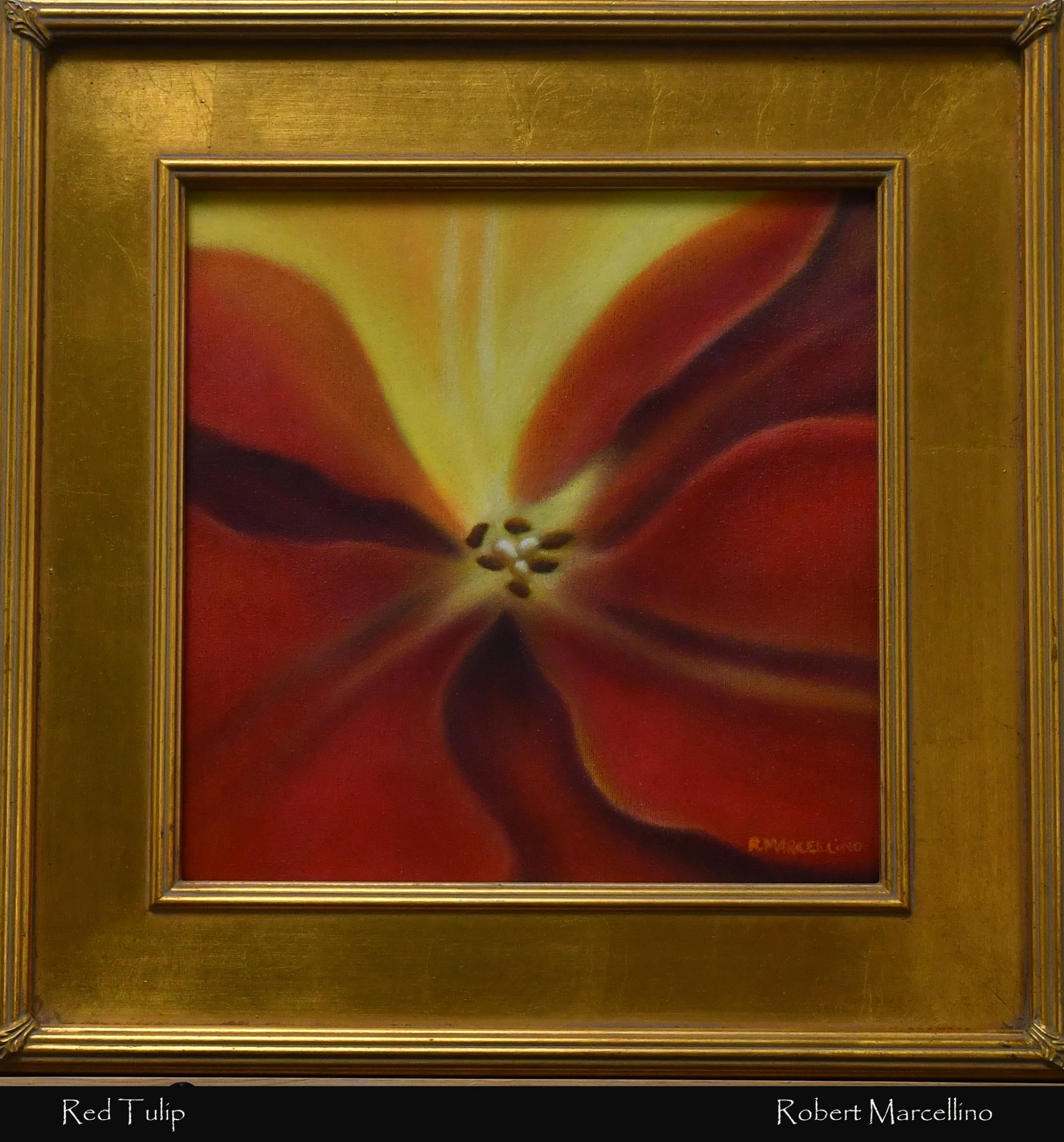 An oil painting by Robert Marcellino showing a close-up of a red and yellow tulip's center. The artwork is housed in a thick, ornate gold frame.