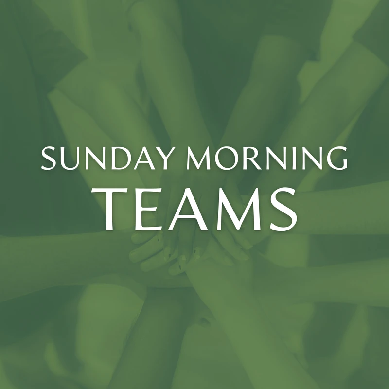 <span style="line-height: 1.5rem;"><span class="h6"><span style="color:var(--secondary-color-bg)">Serve on a Sunday Morning Team</span></span></span>