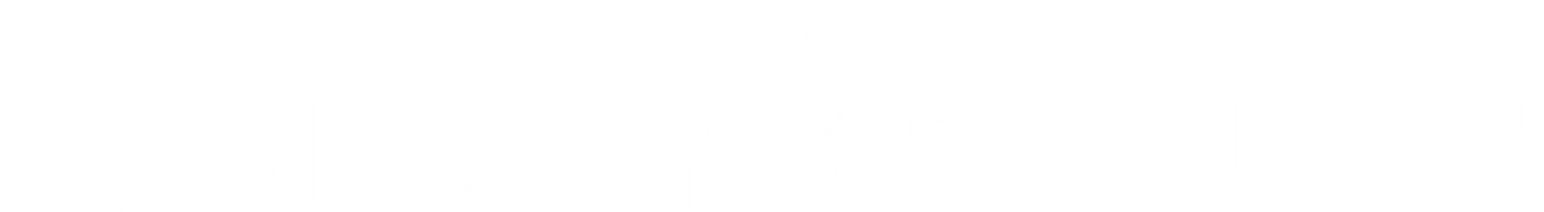 Main Logo