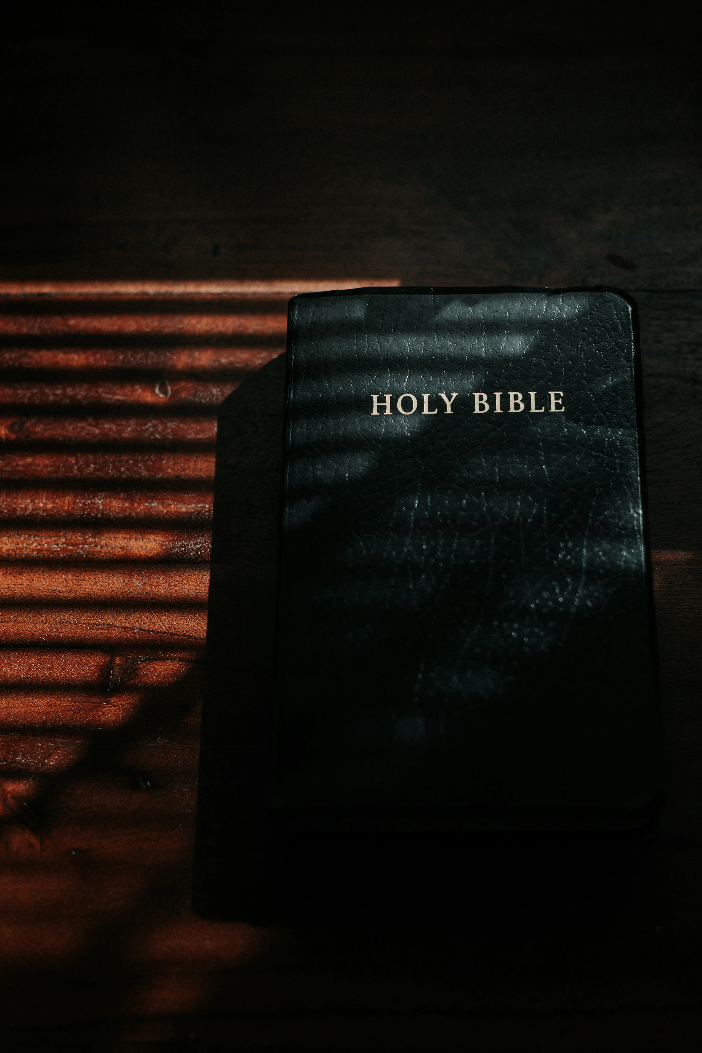 Plan 1: 7-Day “New to the Bible” Plan