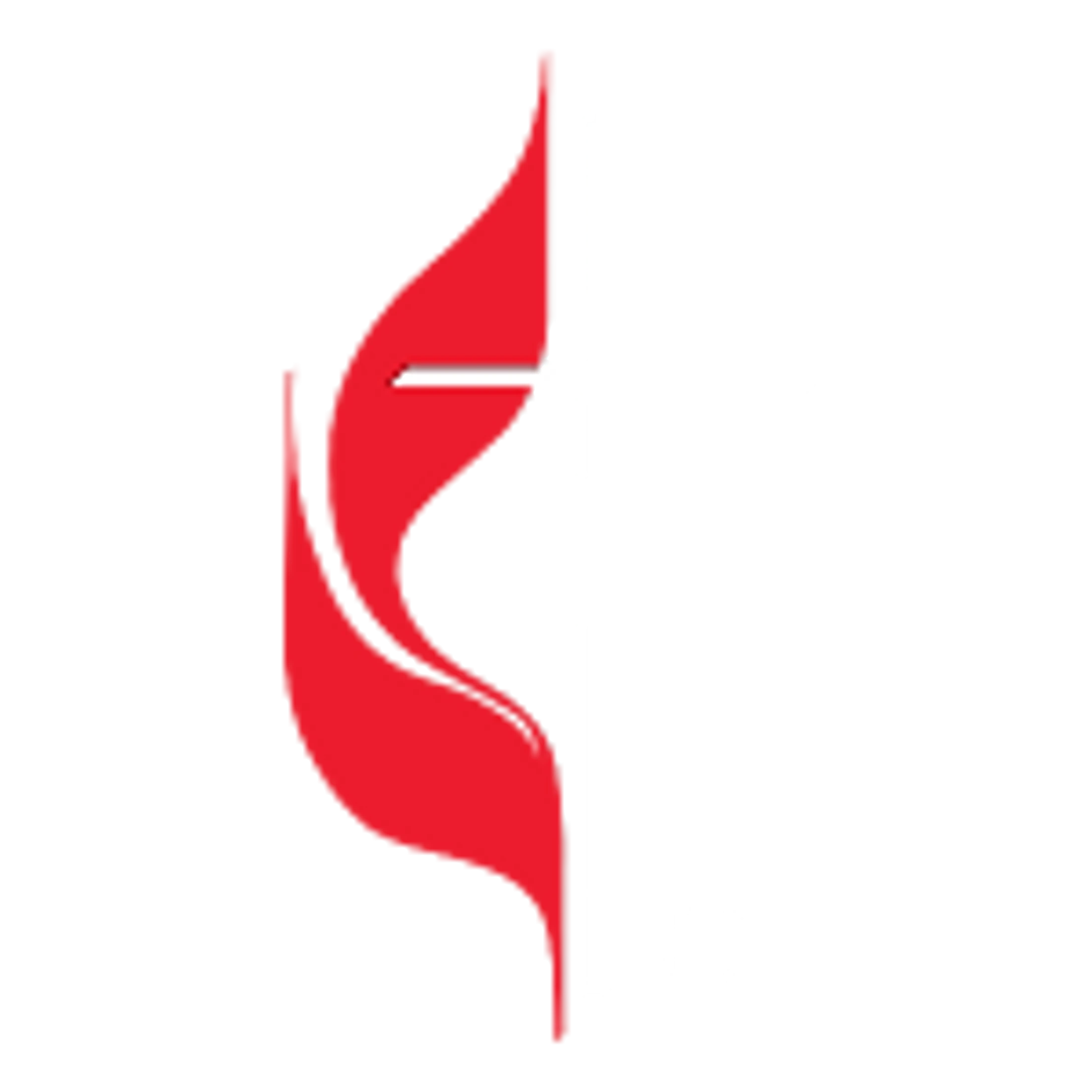Main Logo
