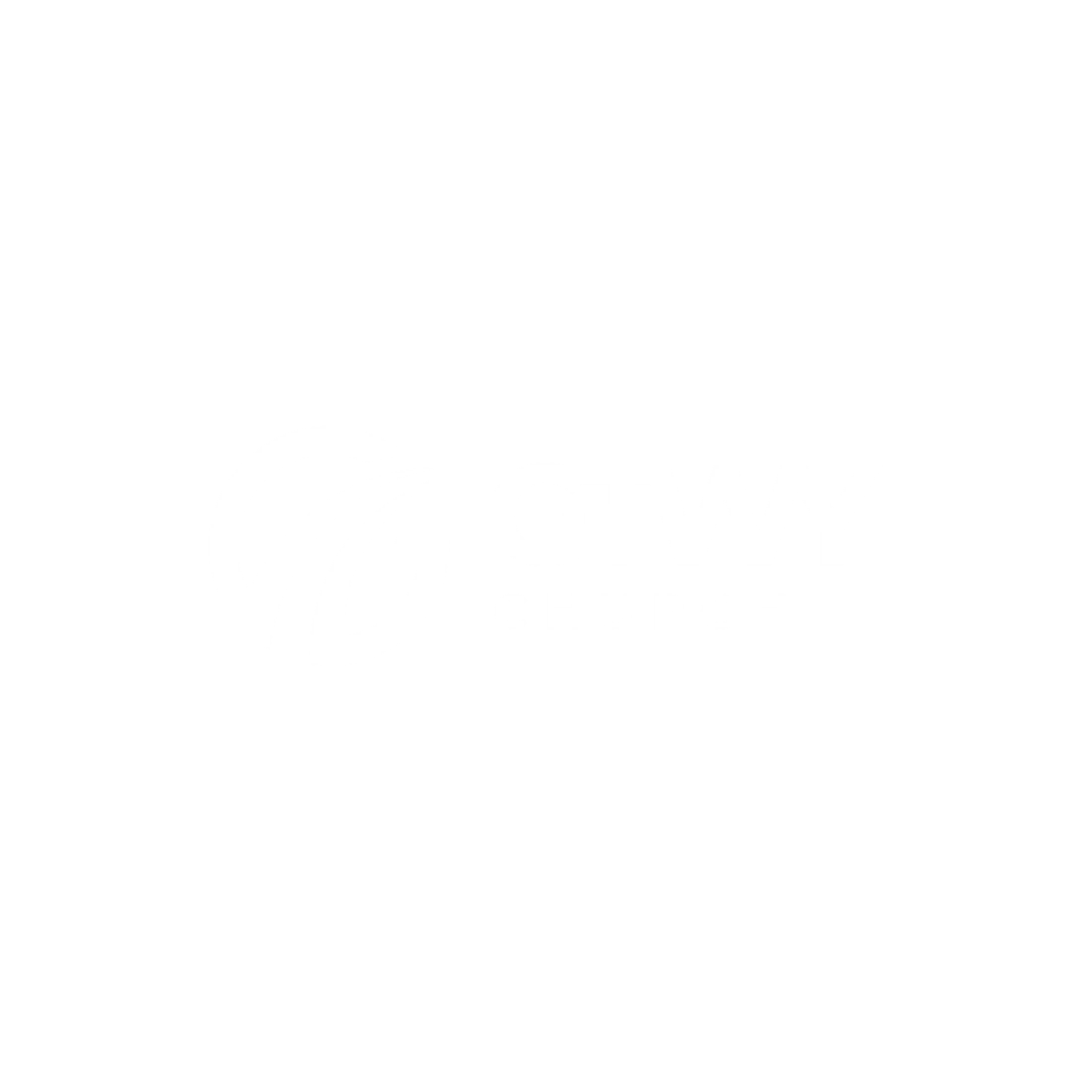 Main Logo