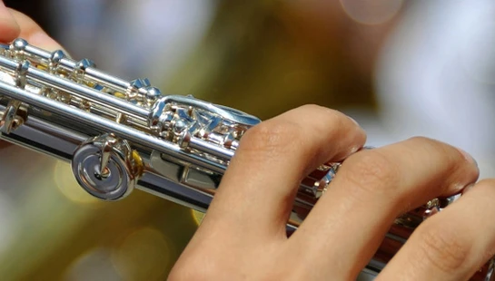 Visiting Music Groups