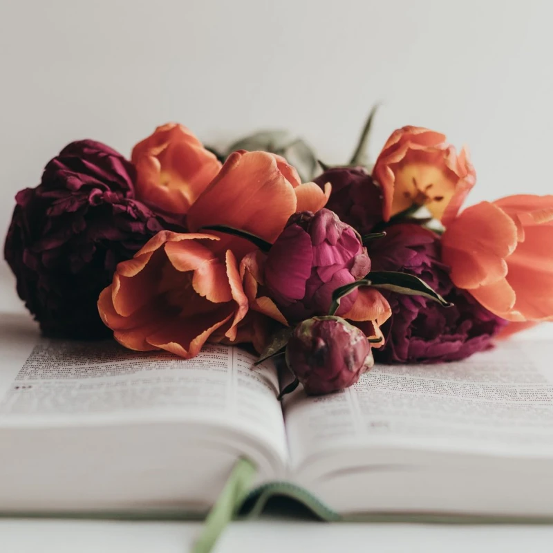 Women's Bible Studies