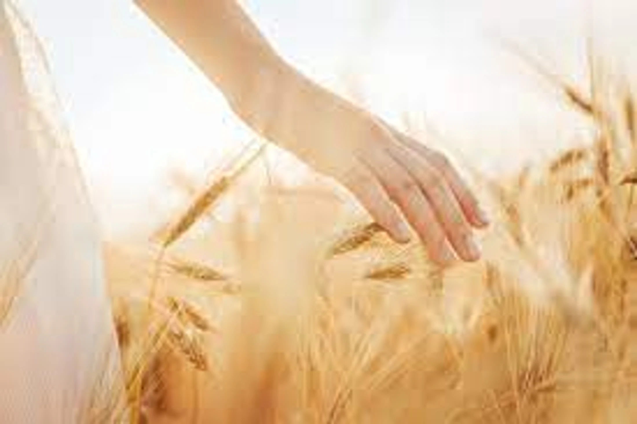 The Grass is Always Greener: Week 5