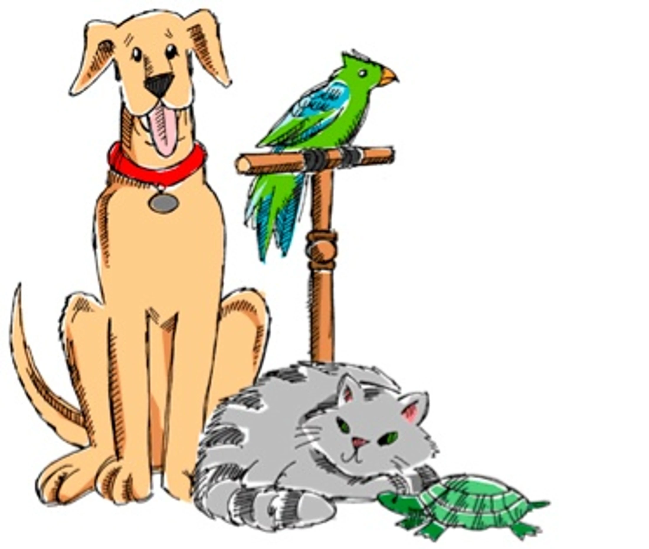 Blessing of the Animals