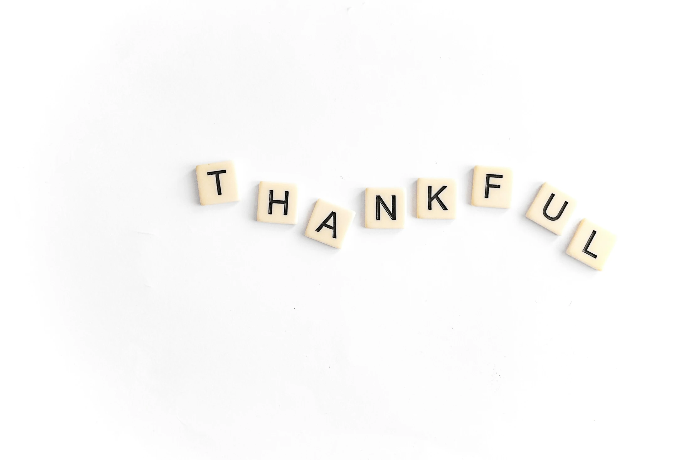 Thanksgiving Service at 10:30 AM 