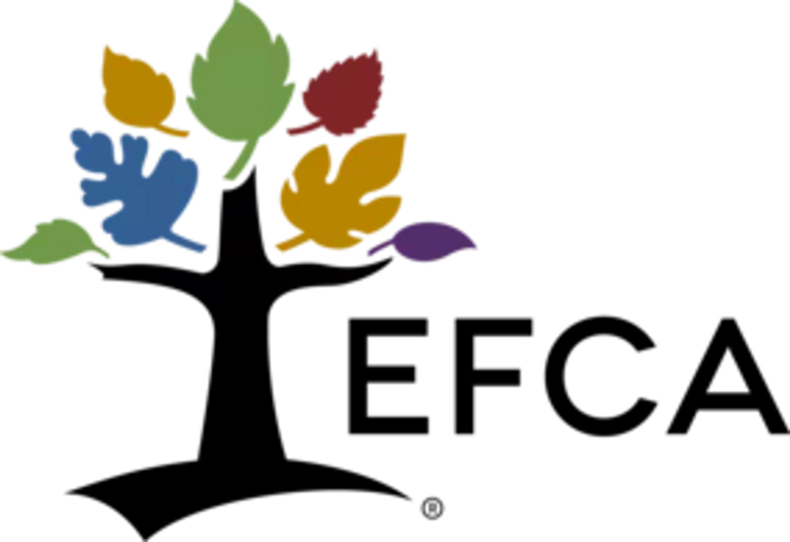 Evangelical Free Church of America (EFCA)