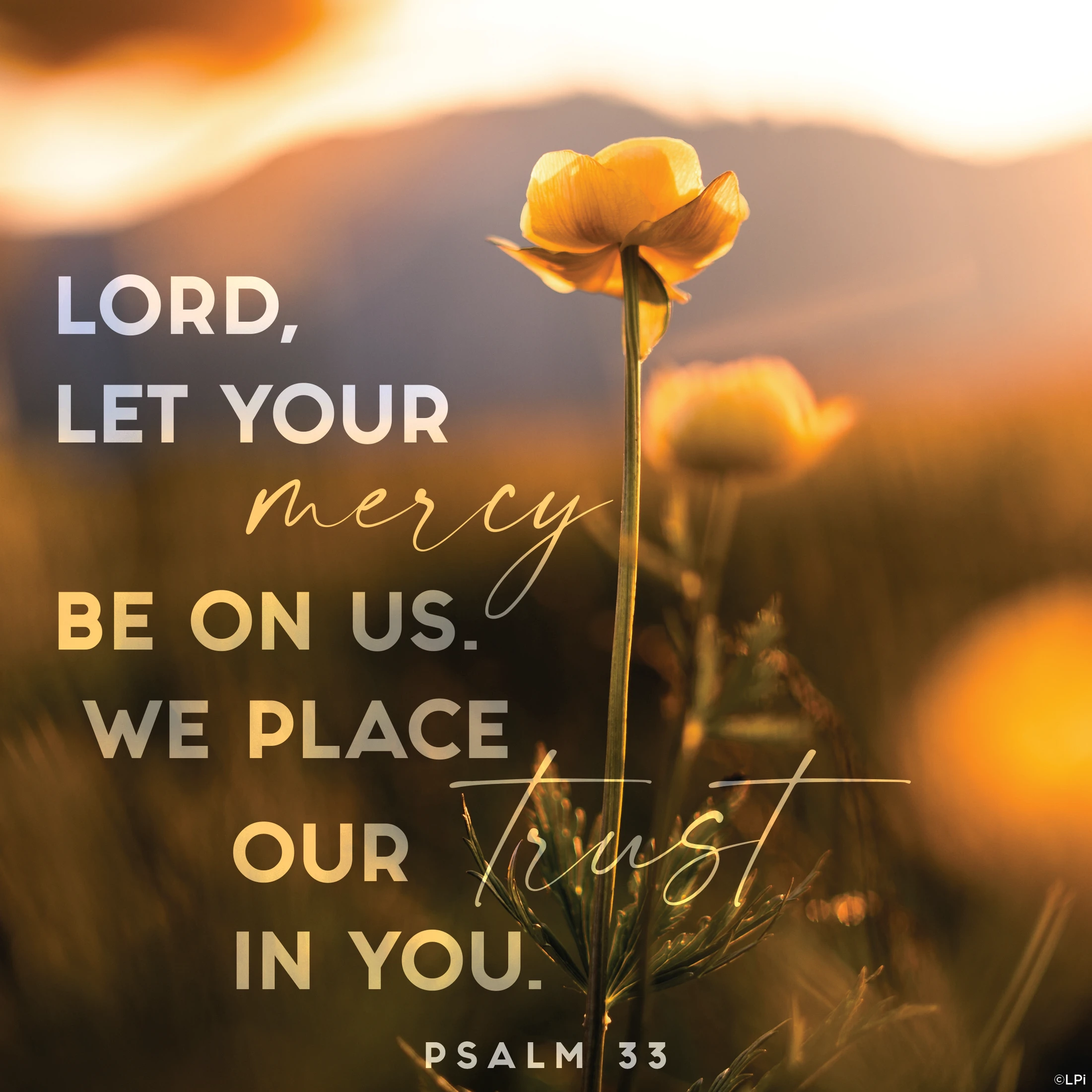 Let Your Mercy Be on Us, O God, as We Place Our Trust in You
