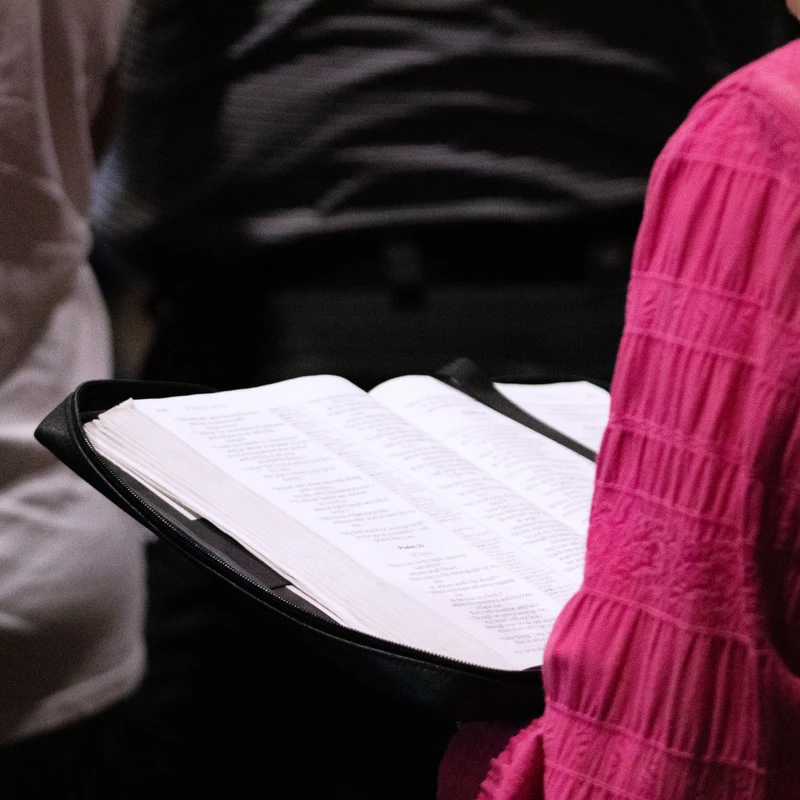 Women's Bible Studies