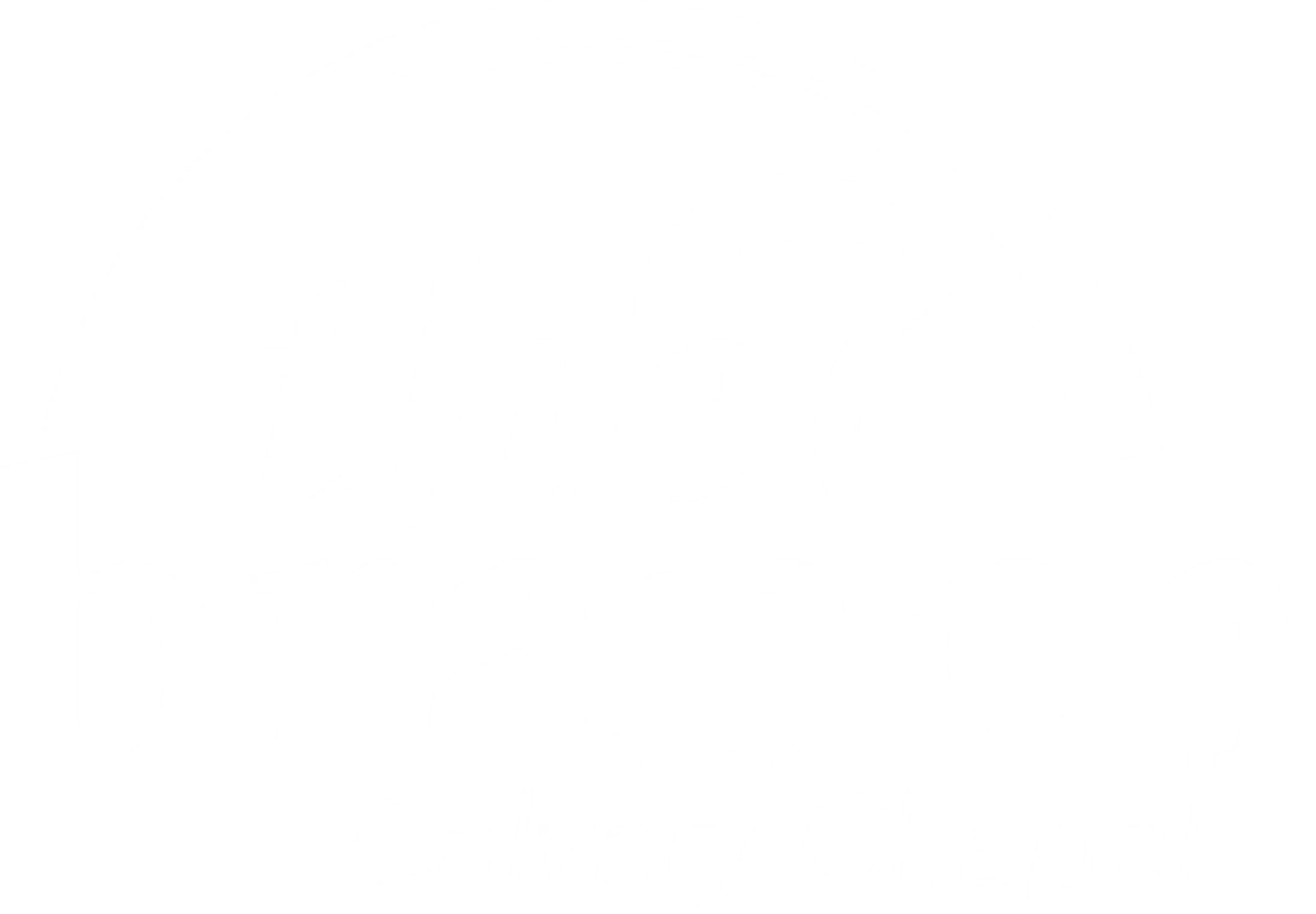 Main Logo