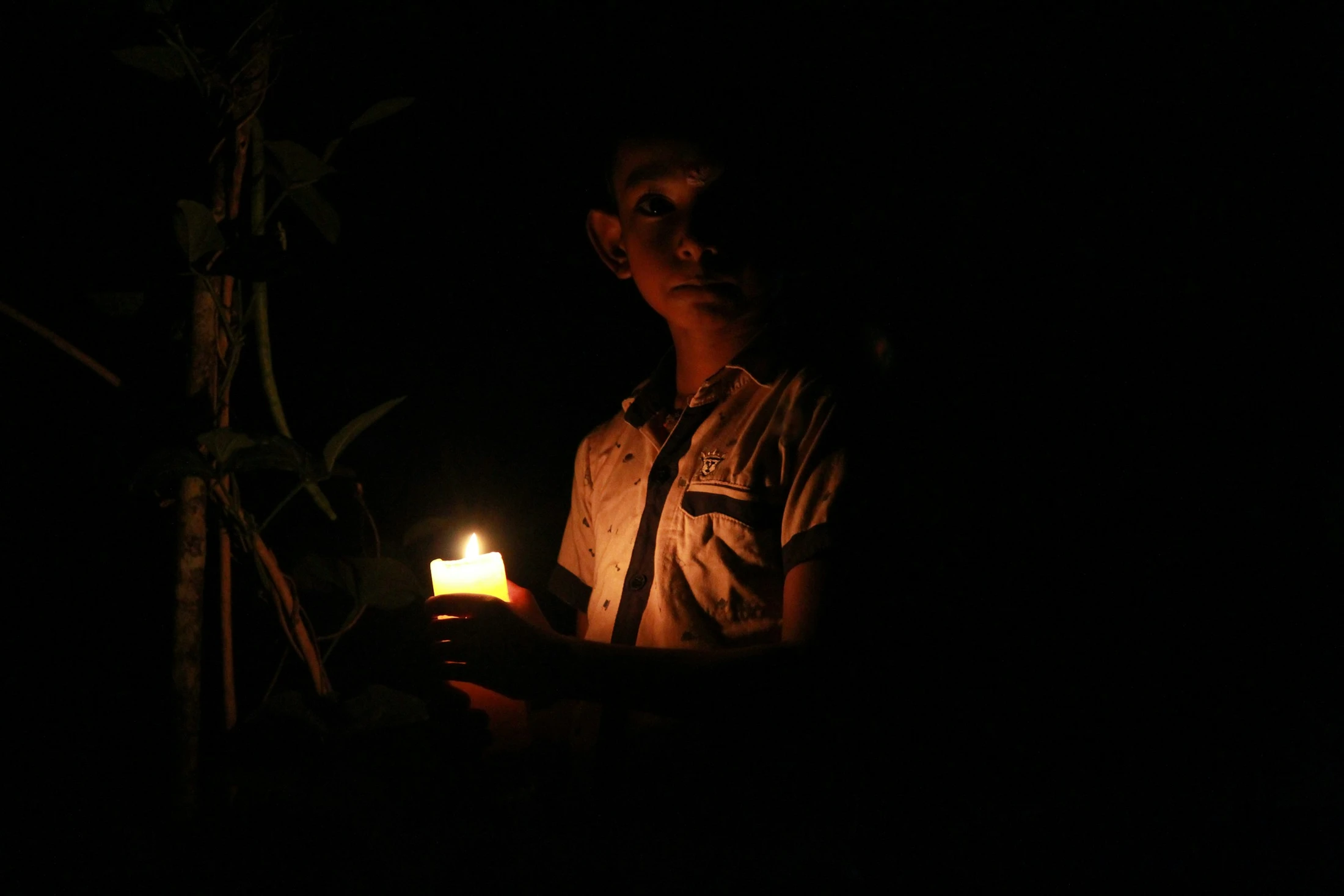 Candlelight & Silent Night