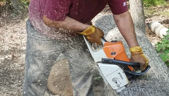 Lumberjacks needs volunteers