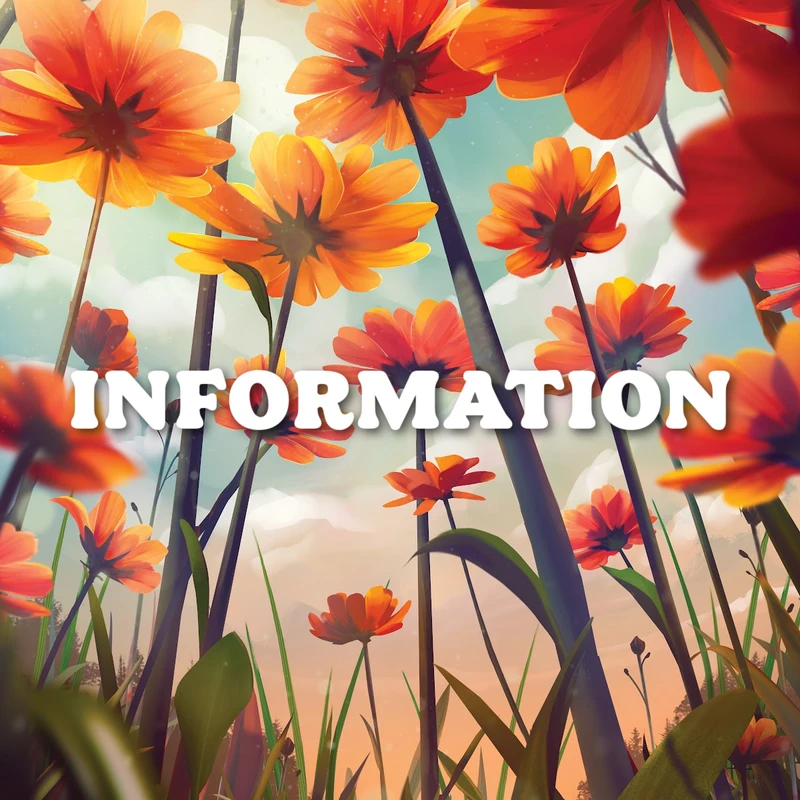 <strong>What are the dates & times?<br><br>
</strong>Magnified! is Monday, June 23rd, to Friday, June 27th from 9-11:30am.