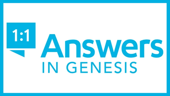 The Answers in Genesis logo, featuring a blue '1:1' icon and blue text on a white background with a blue border.