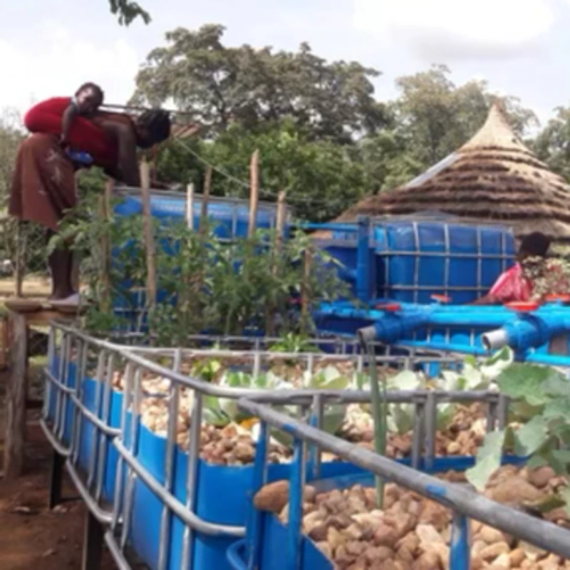 <span style="color:var(--primary-color-bg)">Aquaponics System </span>