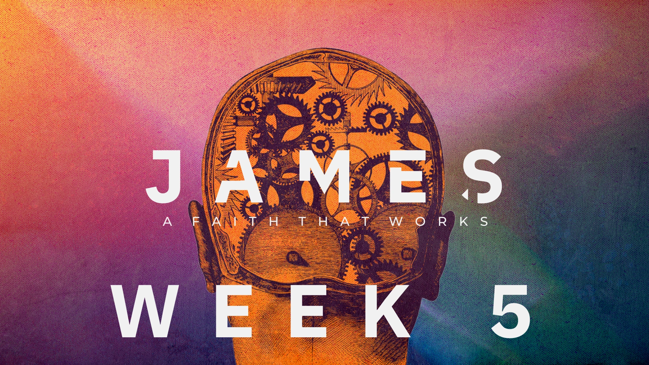 Week 5 | James | Favoritism