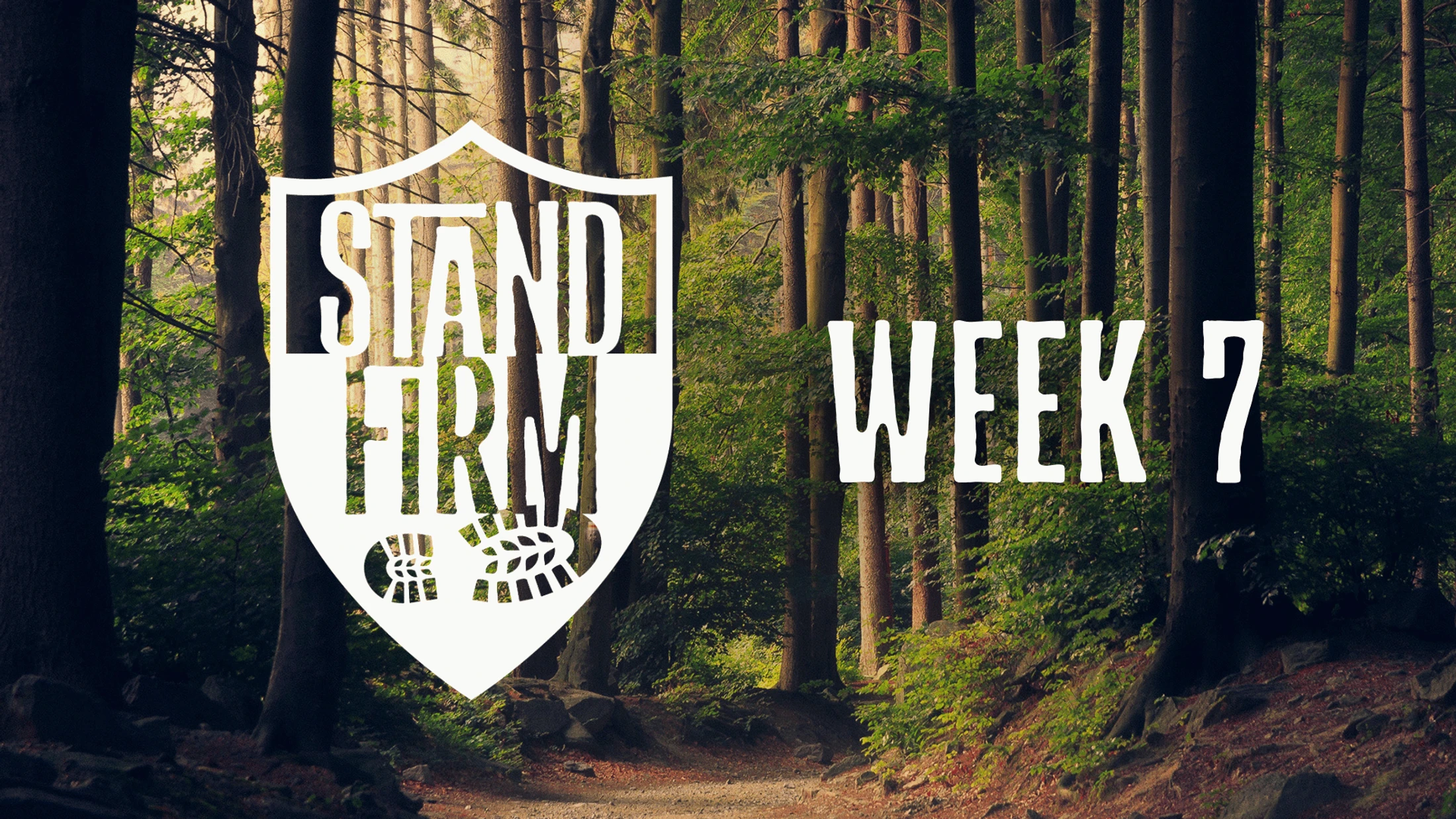 Week 7 | Stand Firm | In Community
