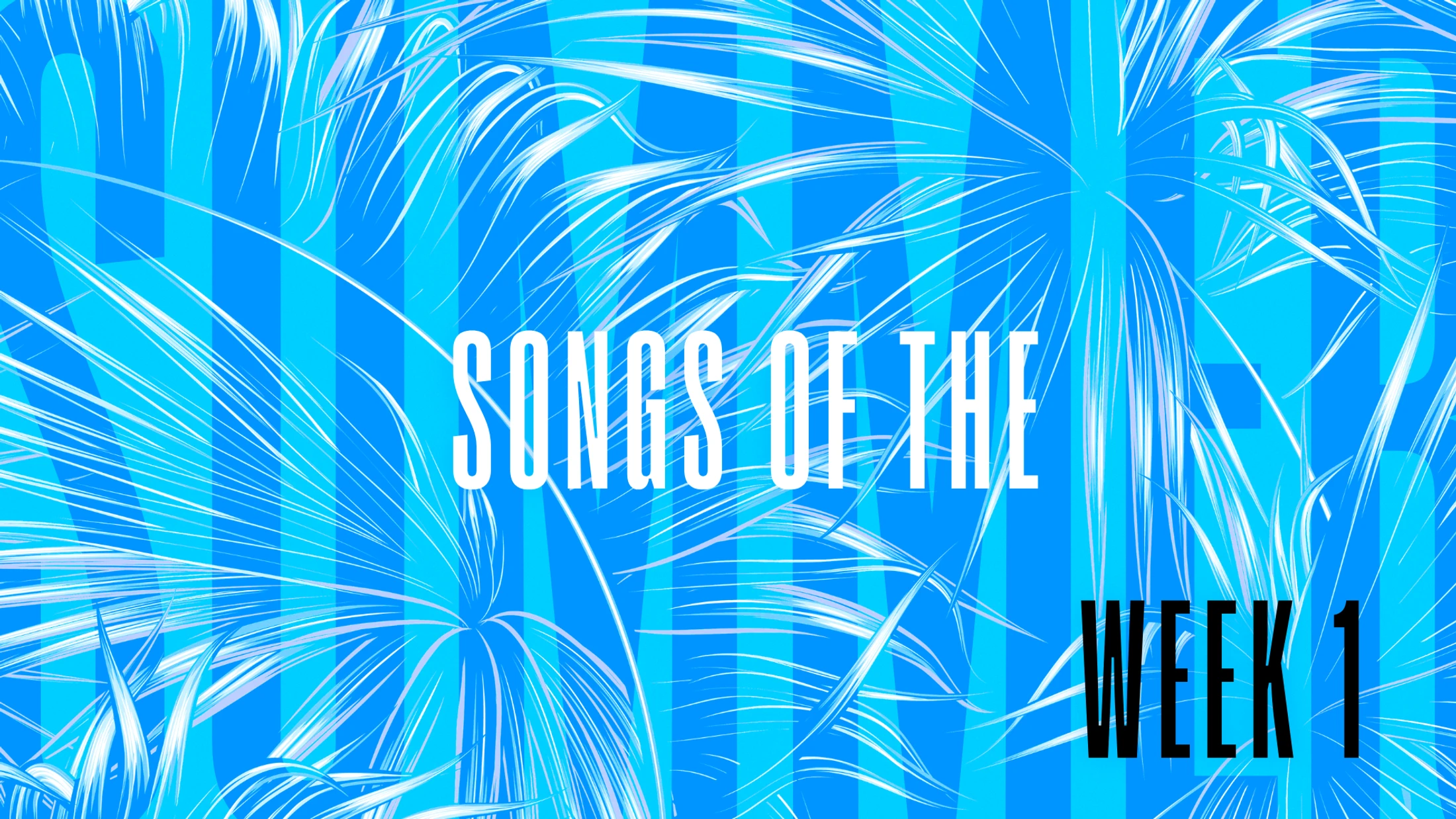 Week 1 | Songs of Summer | Ps 23 Chris Palmer