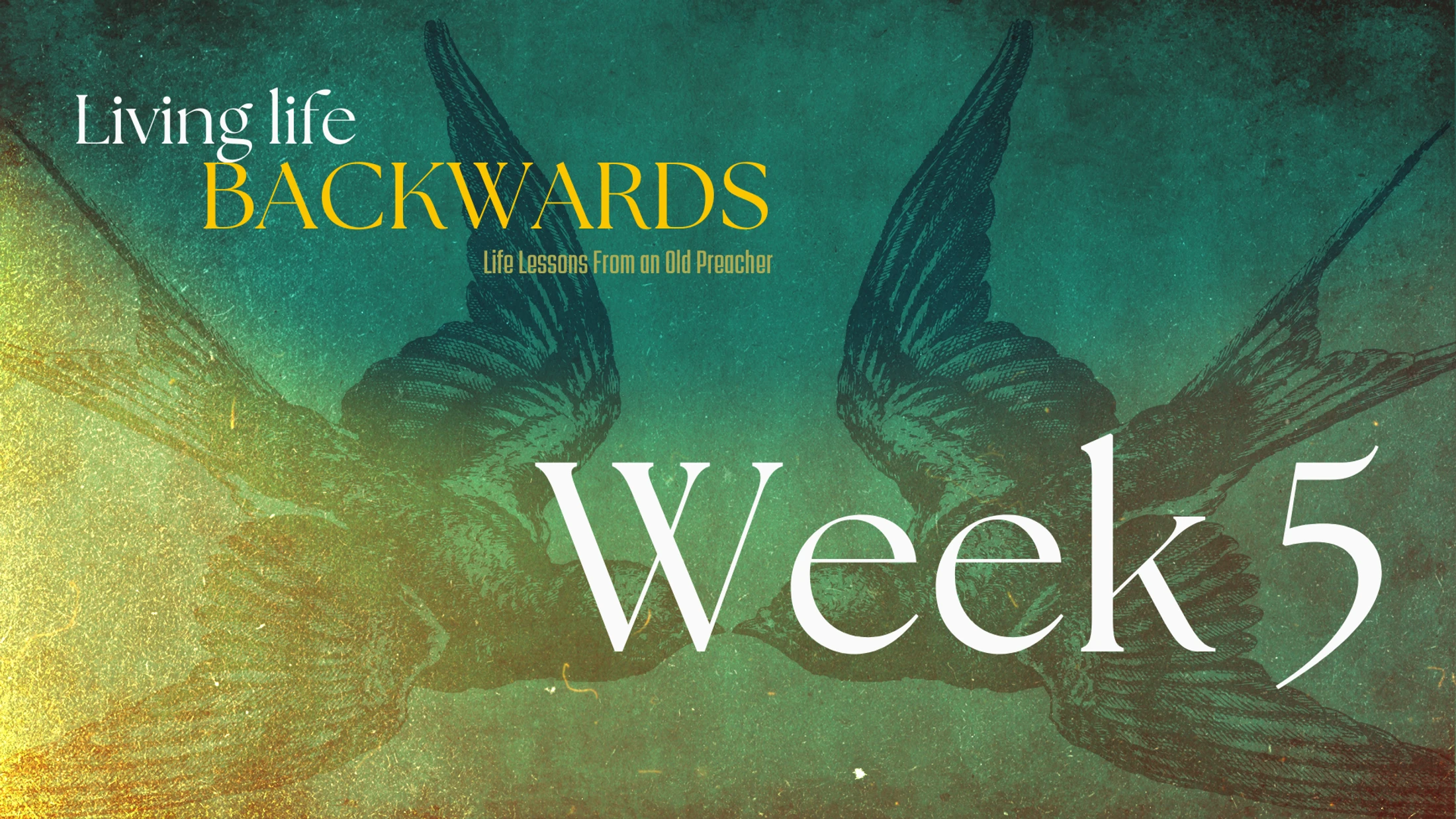 Week 5 | Living Life Backwards | Under the Sun