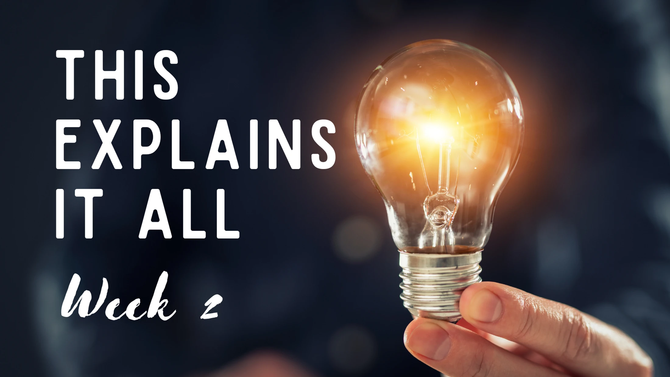 Week 2 | This Explains It All | Imago Dei