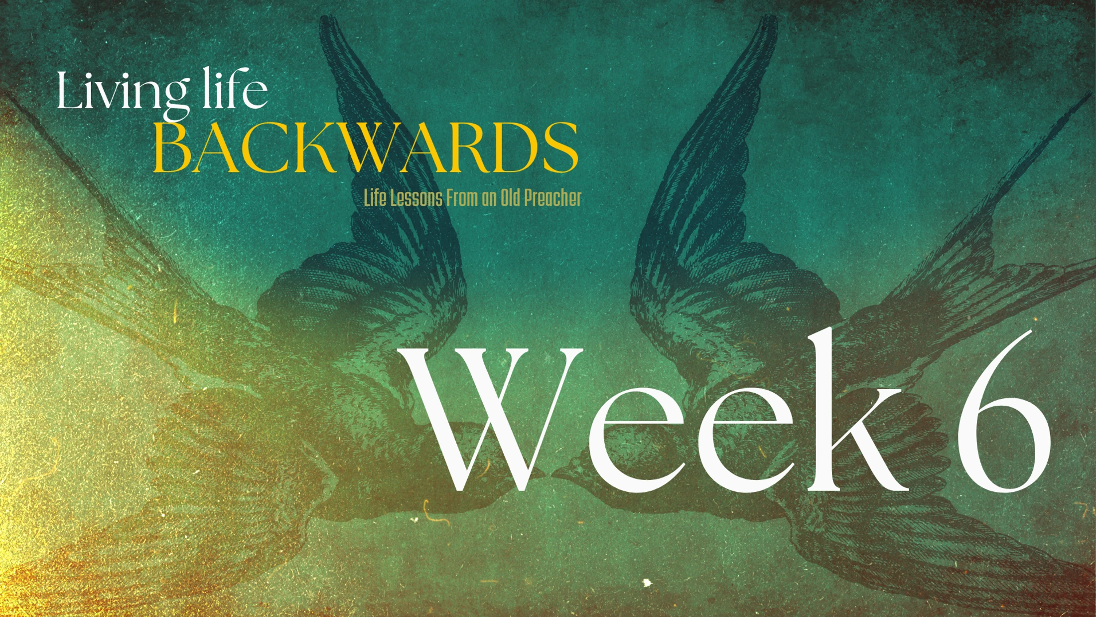 Week 6 | Living Life Backwards | Conclusion