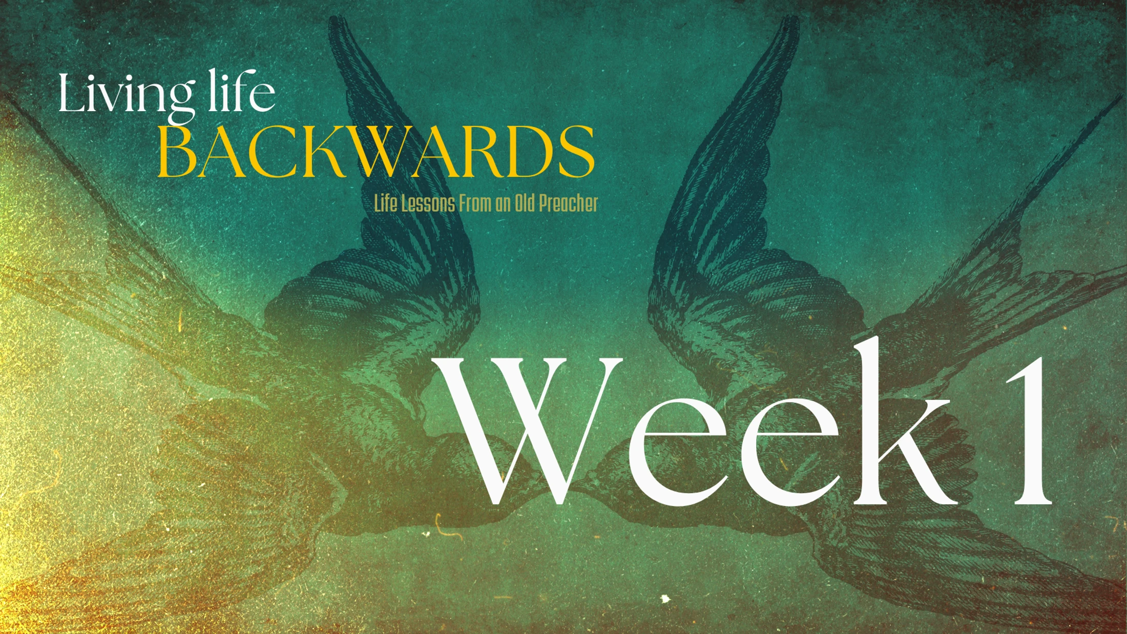 Week 1 | Living Life Backwards | Meaningless