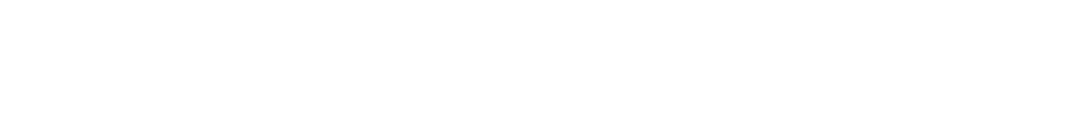 Main Logo