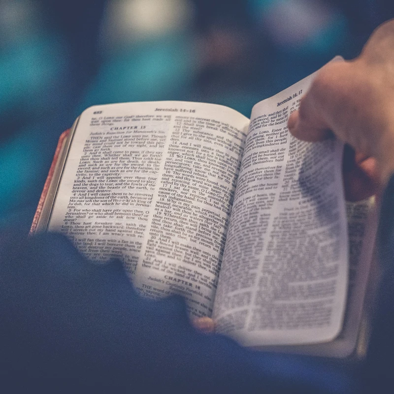 Precept Bible Study&nbsp;