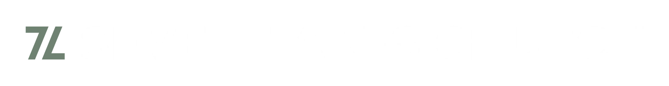 Main Logo