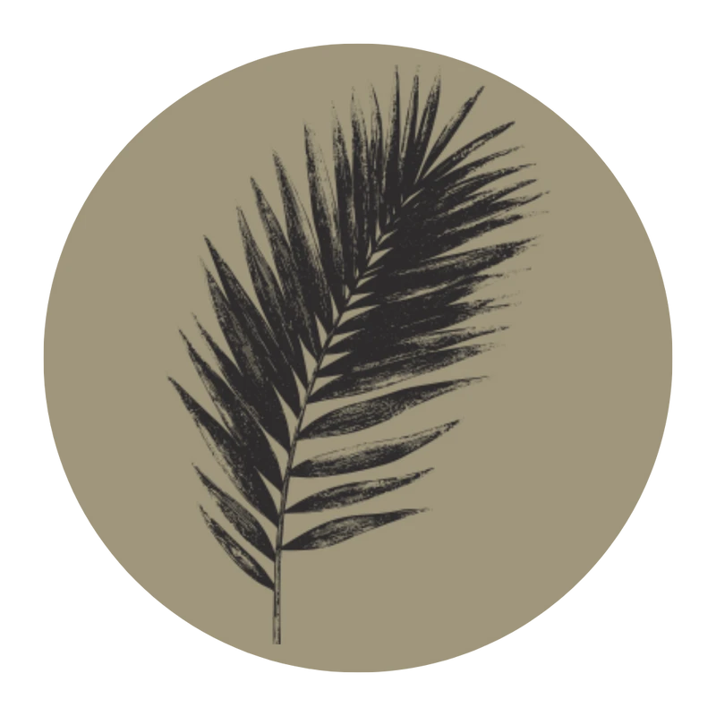 Palm Sunday