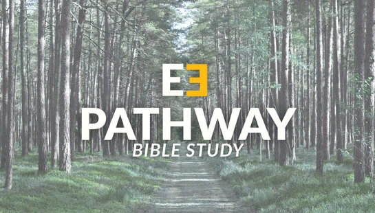 3 Year Bible Plan
