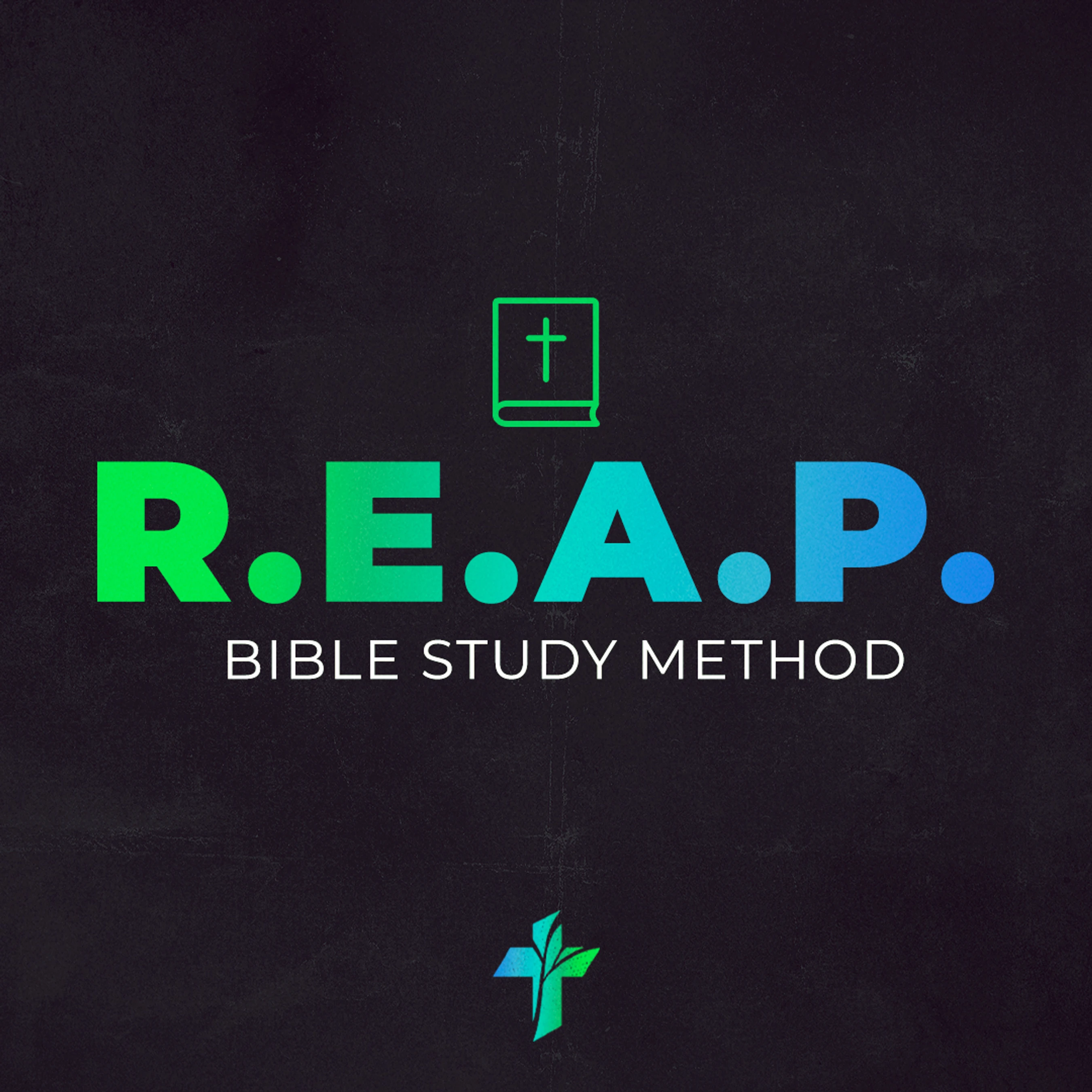 All series we want to give you some real, practical resources to equip you in your journey with Jesus. This PDF walks you through the R.E.A.P. Bible Study Method.