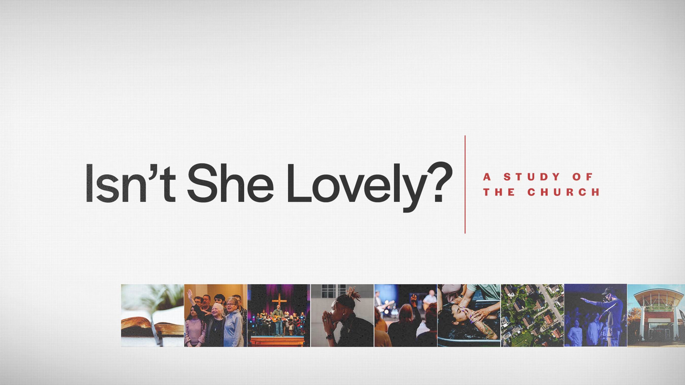 Isn't She Lovely Resource List