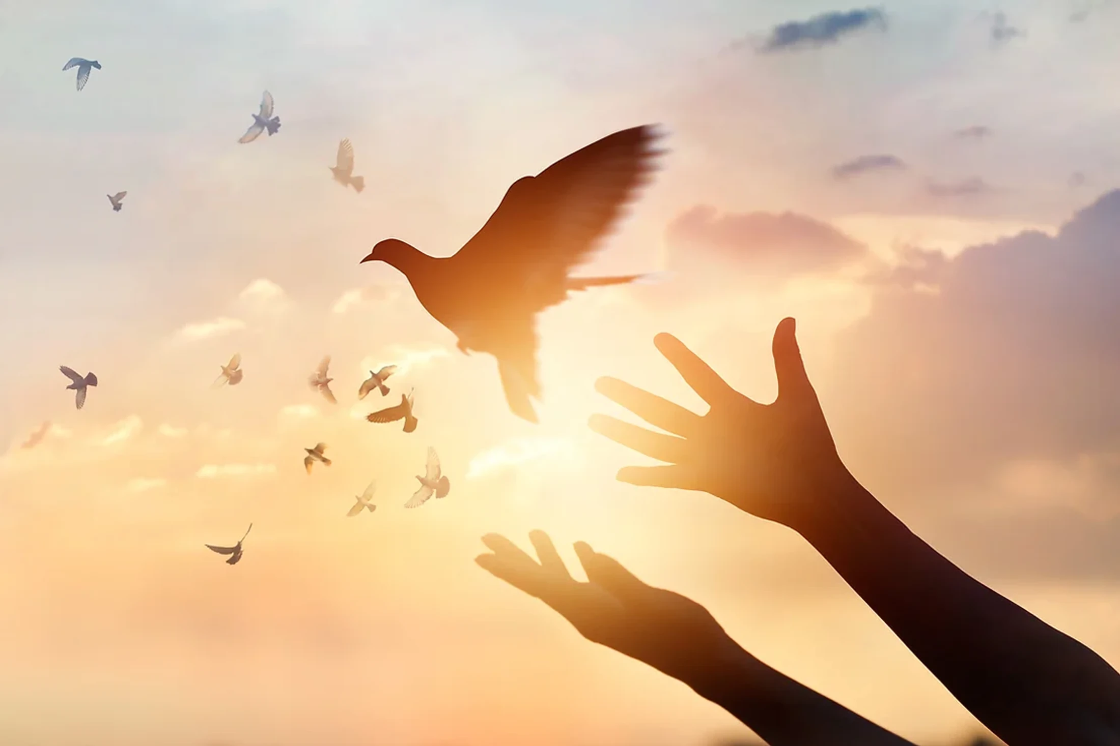 Grace's Story
